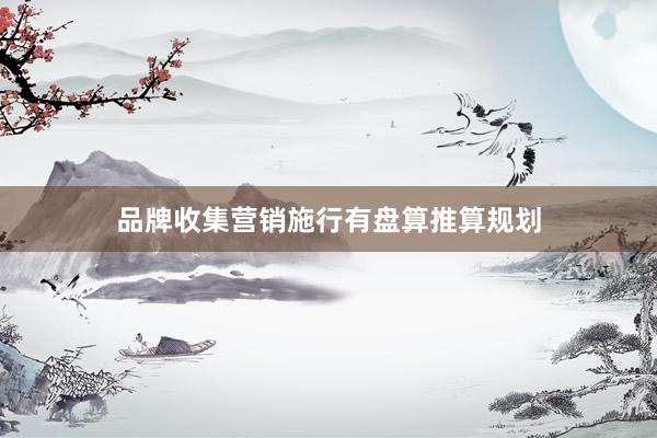 品牌收集营销施行有盘算推算规划