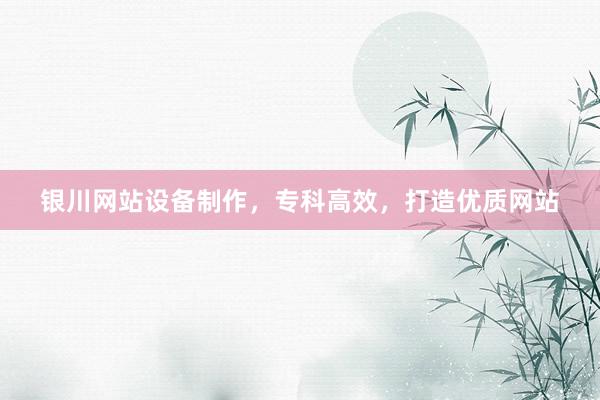银川网站设备制作，专科高效，打造优质网站