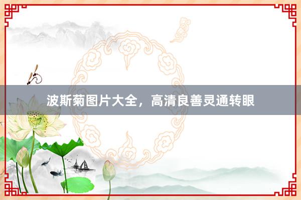 波斯菊图片大全，高清良善灵通转眼